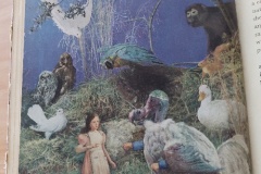 Hugh Gee - Alice and the Dodo - Alice in Wonderland