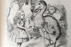 John Tenniel - Alice and the Dodo - Alice in Wonderland