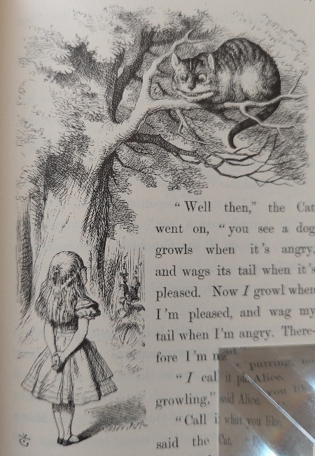 Alice speaks with the Cheshire Cat – Alice in Wonderland book ...