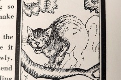 Willy Pogany - The Cheshire Cat - Alice in Wonderland 2
