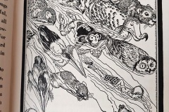 Willy Pogany - The pool of tears - Alice in Wonderland 2