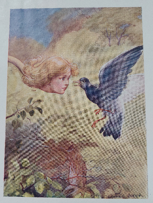 George-Soper-Alice-in-Wonderland-20-alice-pigeon