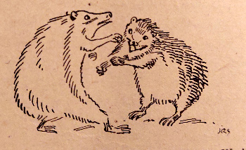 JR-Sinclair-Alice-in-Wonderland-24-hedgehogs