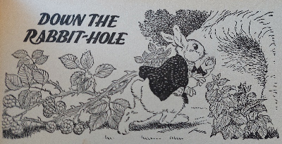 G_W_Backhouse_Alice_in_Wonderland_10-down-the-rabbits-hole