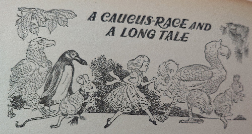 G_W_Backhouse_Alice_in_Wonderland_23-caucus-race