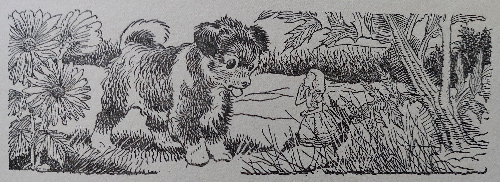 G_W_Backhouse_Alice_in_Wonderland_36-alice-and-puppy