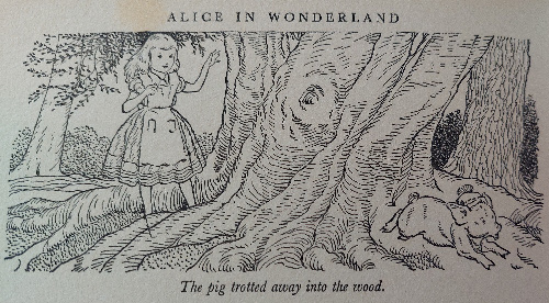G_W_Backhouse_Alice_in_Wonderland_49-pig-baby-alice