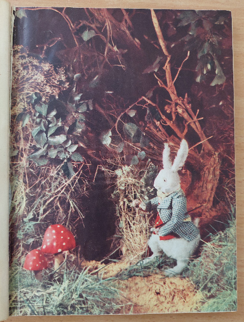 Hugh_Gee-Alice-in-Wonderland-5-white-rabbit