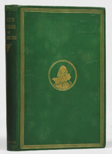 1866 first American Alice in Wonderland edition